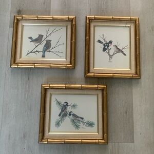 Sherm Pehrson Bird Prints Set of‎ 3 wall art decor bamboo wooden frames gold